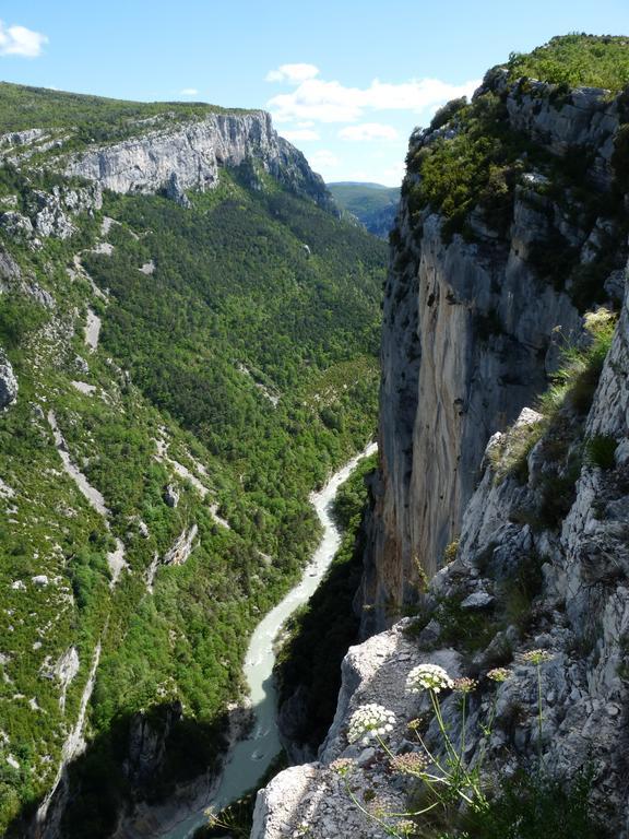 Les Jardins De L'Ermitage Panzió Les Salles-sur-Verdon Kültér fotó